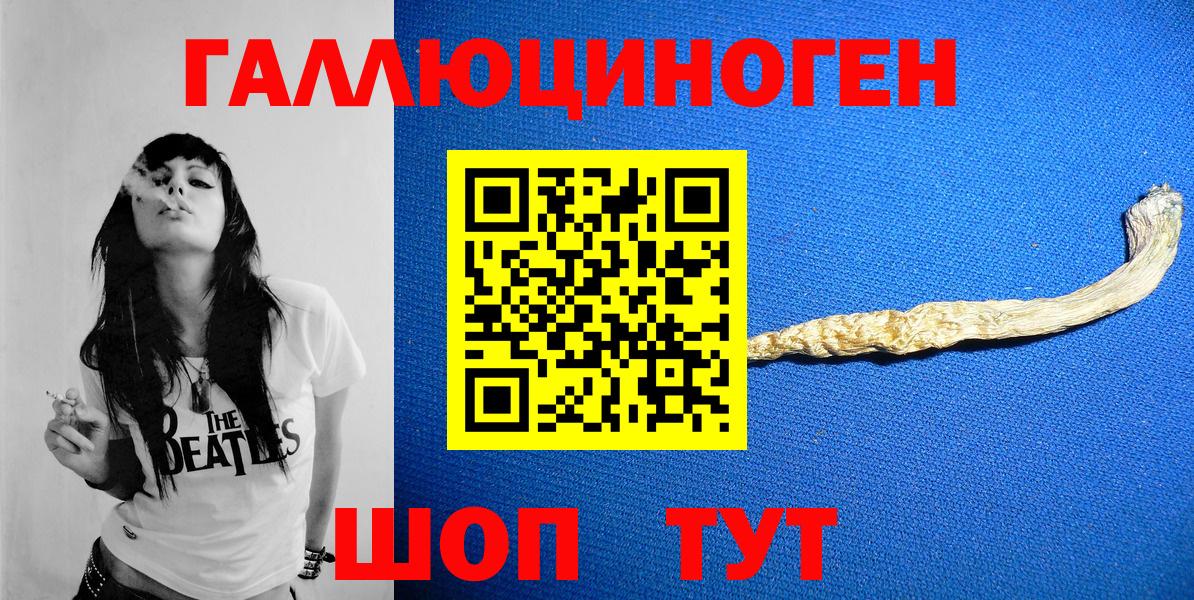 Галлюциногенные грибы Cubensis  Вход с VPN  Псилоцибиновые грибы мухоморы  Дмитров 