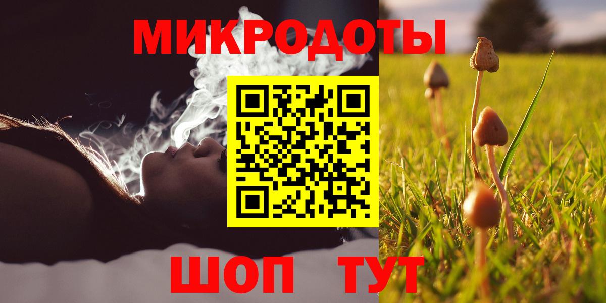 Псилоцибиновые грибы MAGIC MUSHROOMS Дмитров